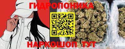 ПСИЛОЦИБИНОВЫЕ ГРИБЫ Кандалакша