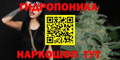 ПСИЛОЦИБИНОВЫЕ ГРИБЫ Кандалакша