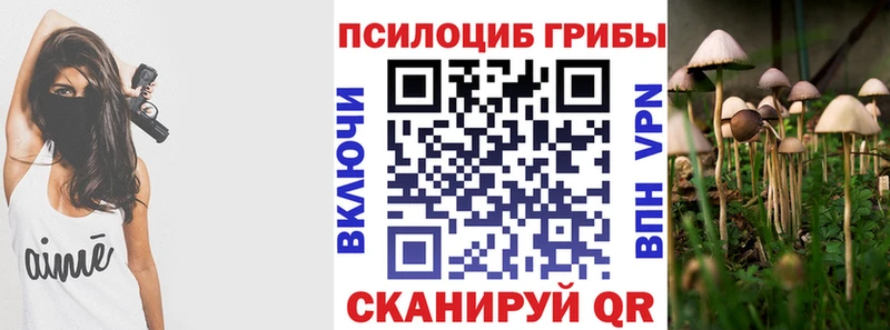 купить наркоту  Усинск  Галлюциногенные грибы Magic Shrooms 
