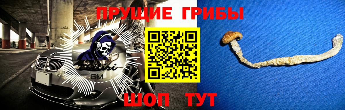 Псилоцибиновые грибы Psilocybine cubensis  Вход с VPN  Усинск 
